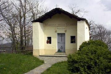 Sfoglia la galleria